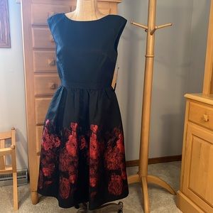 NWT Cynthia Steefe Fit and Flare Red Black Dress 6